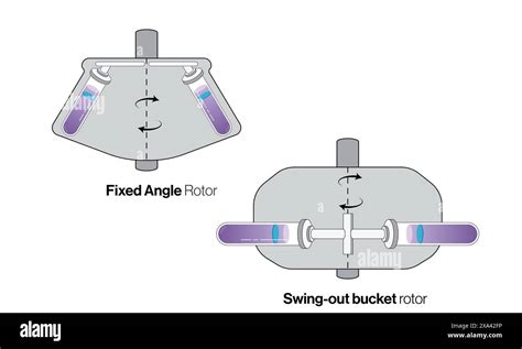 swing out rotor centrifuge|fixed angle rotor diagram.